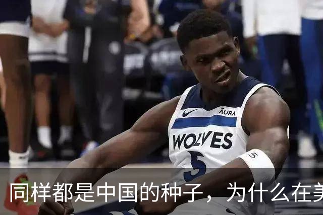 同样都是中国的种子，为什么在美国种出的水稻，亩产要比中国高？