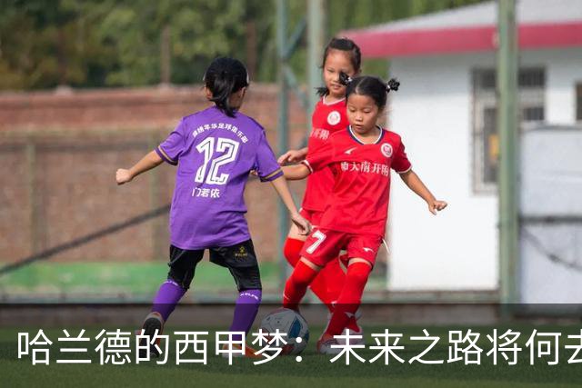 哈兰德的西甲梦：未来之路将何去何从？
