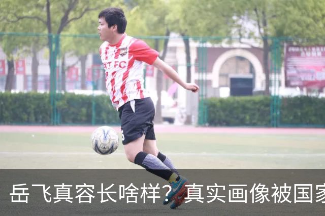 岳飞真容长啥样？真实画像被国家博物馆珍藏至今，原来岳飞长这样