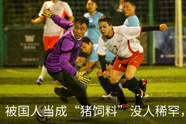 被国人当成“猪饲料”没人稀罕，远销欧美一斤上万，老外都抢着买